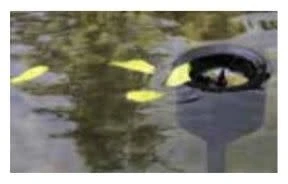 Aquaforte Drijvende Skimmer Op Standaard 2 Aquaforte Drijvende Skimmer Op Standaard - Afbeelding 2