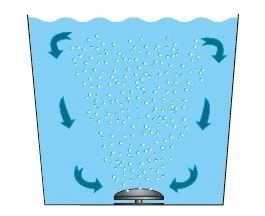 Europond Spindrifter Vijverbeluchter Pond Aerator Met RVS Voet 2 Europond Spindrifter Vijverbeluchter Pond Aerator Met RVS Voet - Afbeelding 2