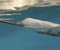 Oase PondoVac 3 - Vijverstofzuiger -Vijvergereedschap Winkel image 1799