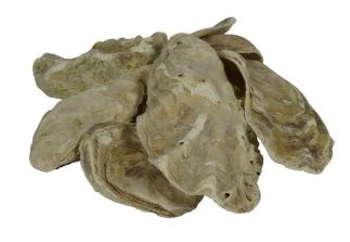 Air Aqua Oesterschelpen In Zak 5kg 2 Air Aqua Oesterschelpen In Zak 5kg - Afbeelding 2